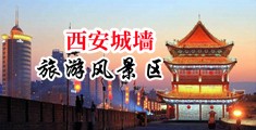 欧美抽插黑人中国陕西-西安城墙旅游风景区