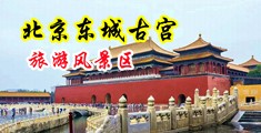 日夜操B麻豆中国北京-东城古宫旅游风景区